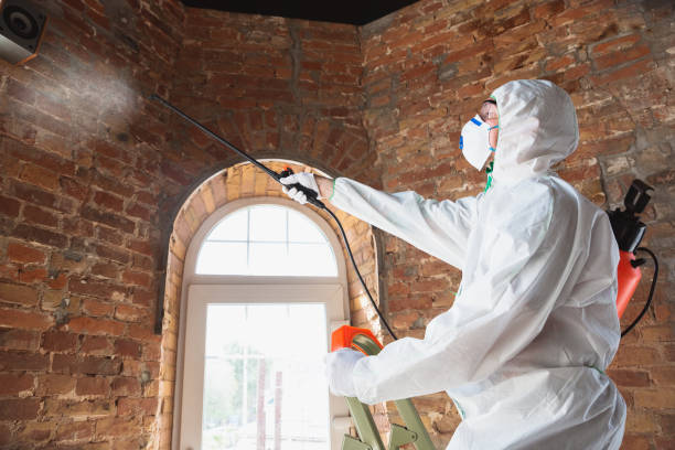 Best Forensic Mold Investigation in Barry, IL